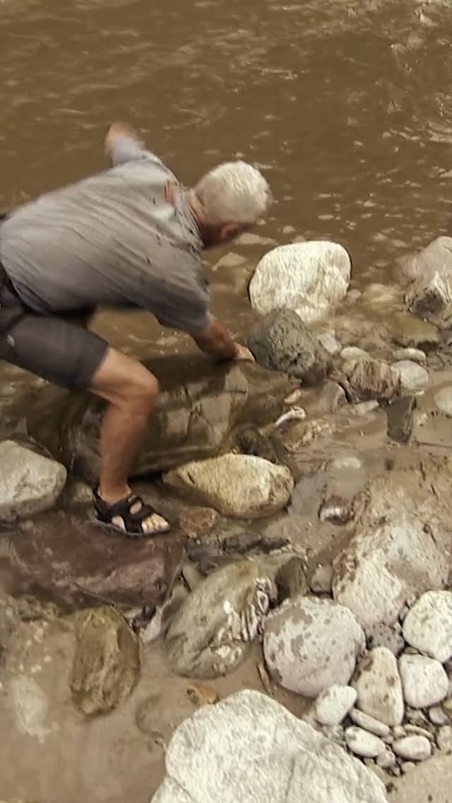 THAT Neck Is HUGE 😯 #rivermonsters #jeremywade #fishing