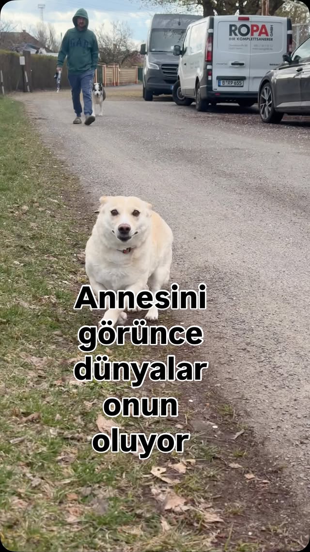 Evden bensiz çıktılar ama dönüşte onları kapıda karşılamak istedim şu mutlulukları her şeye değiyor …