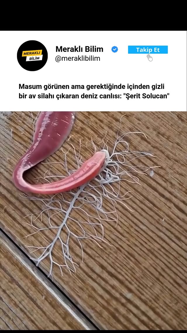 Nature pin