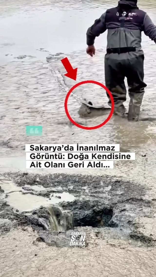 Sakarya Kaynarca’da bulunan, çiftçinin 30 yıldır istifade ettiği Dımbazlar Göleti’nde 46 yıl önce ka…
