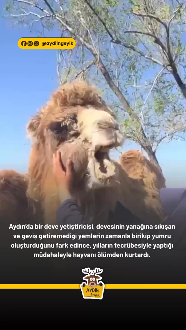 Content pinned by @aydingeyiik