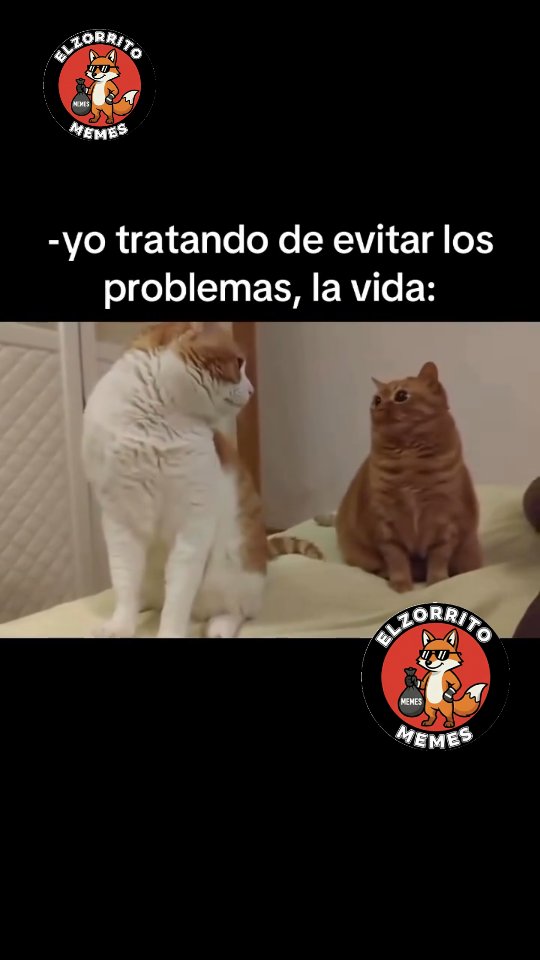 Quiero ver Gifs de Gatitos en los comentarios 😂🦊 Seguíme para mas memes! 🦊🦊🦊🦊🦊 #LosSimpsons #TheSimp…