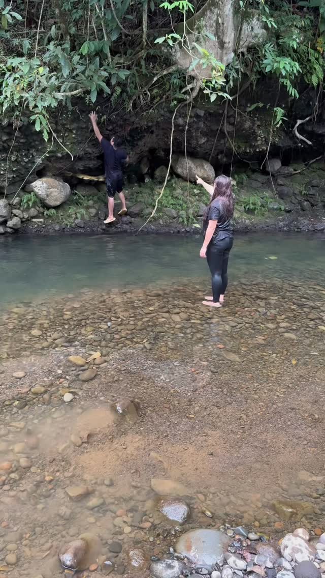 Nature pin