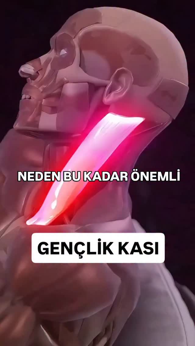 Sternokleidomastoid kası (SCM) boynun en görünür kaslarından biridir ve yaşlanma belirtilerinde düşü…