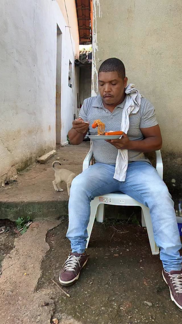 Cachorro bom de comida #comedia #humor #viral