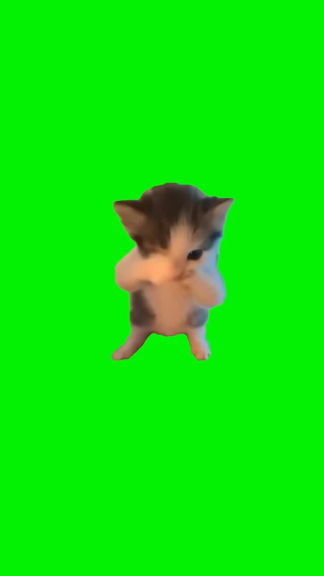 Cat Scuba Dancing | Green Screen #scuba #cat #cats #trending #fyp