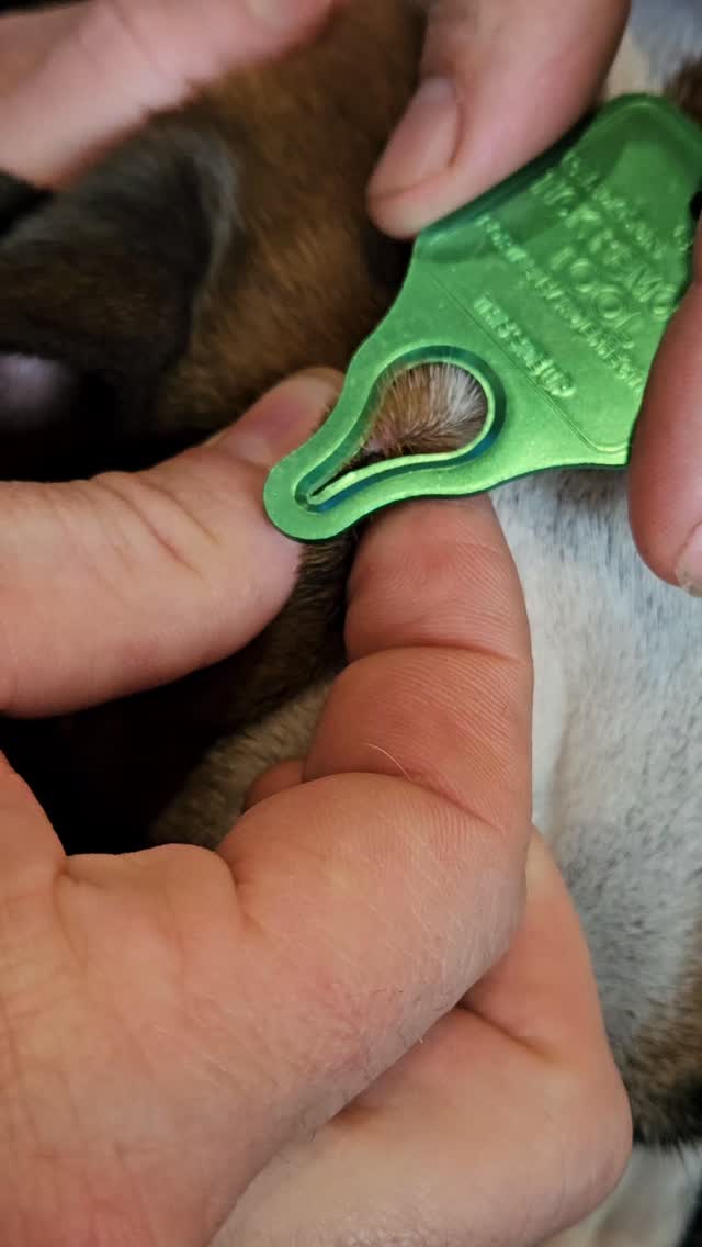 Got a new tick remover since there's so many this year! It works very well and is so easy to use! Re…