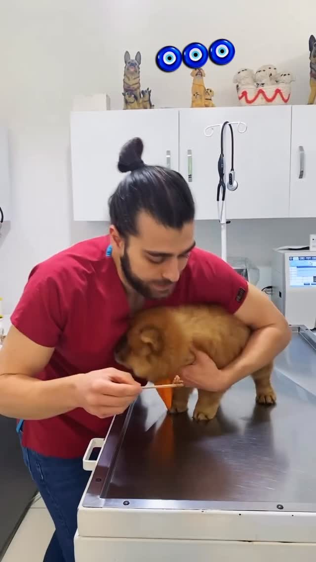 Maşallah akıllı bıdıık 😂