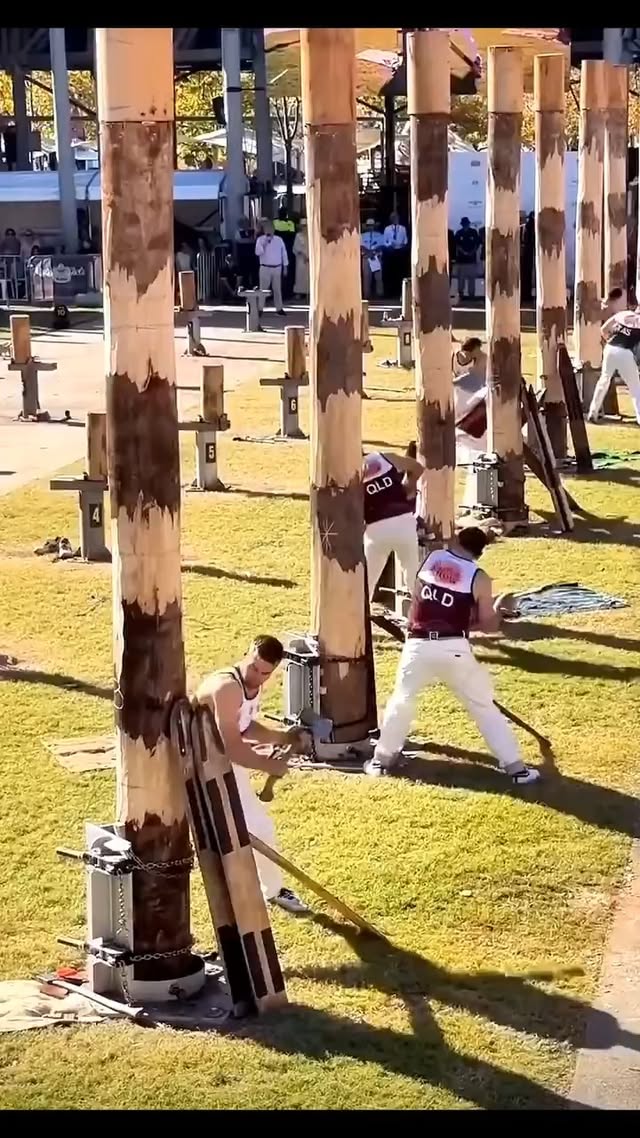 The post captures a high-energy video of Australian woodchoppers at the Royal Easter Show in Sydney,…