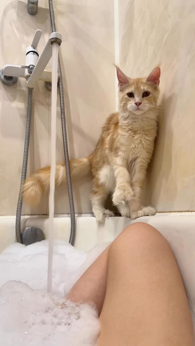 @stepanova.cat tarafından pinlenen içerik