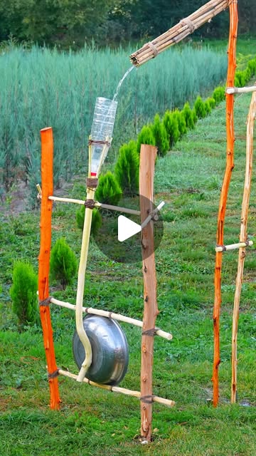 2-in-1 Garden Guard: Scare Away Birds and Moles Fast! #diy #lifehacks #outdoors #backyard #garden
