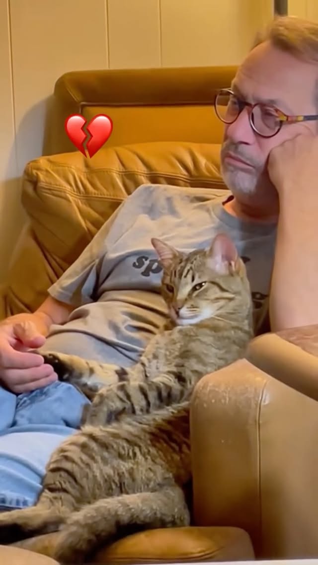 Cat robbed my man 😭#cat #cats #catlover #kitten #catsoﬁnstagram #fyp