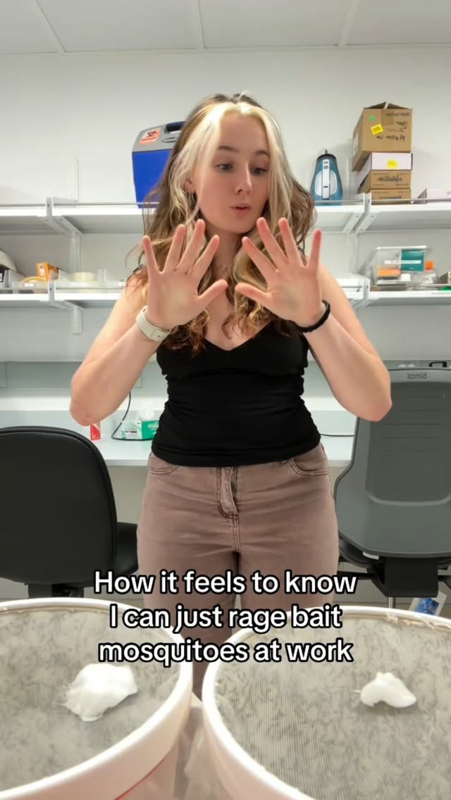 Guys I love studying mosquitoes for science so much🦟🔬 #mosquito #science #ragebait #magic #mosquitoe…