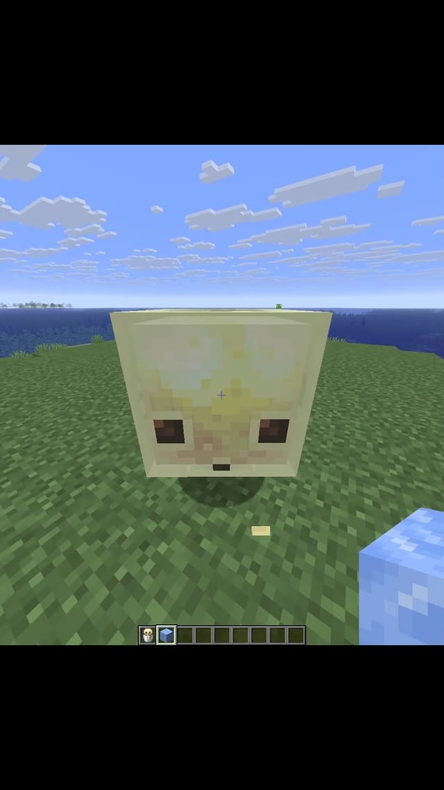 Boats are now slower then a pig... #minecraft #minecraftmeme #minecraftmemes