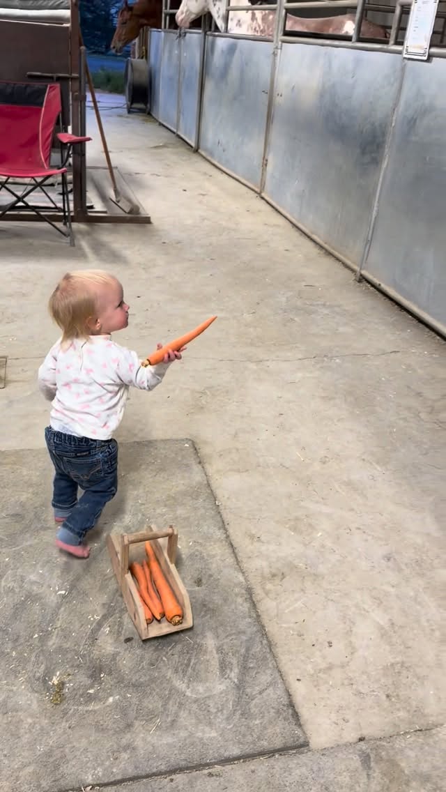 At the end Quincee noticing the baby horse on the stall 🥹 #barnlife #HorseLife #blessed