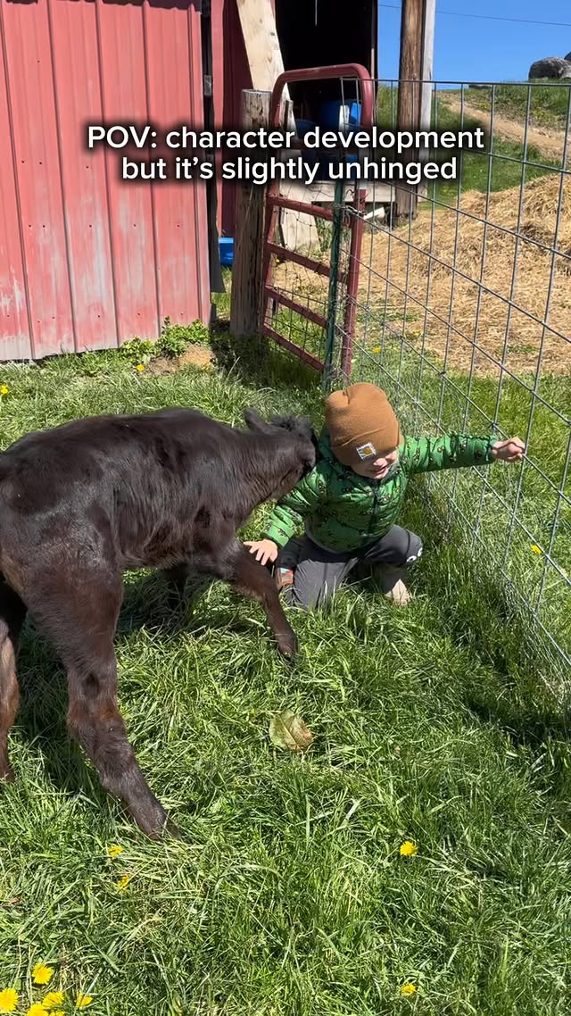 Just a normal day around here. #farm #farmlife #wrestling #calf #kids #characterbuilding #momlife