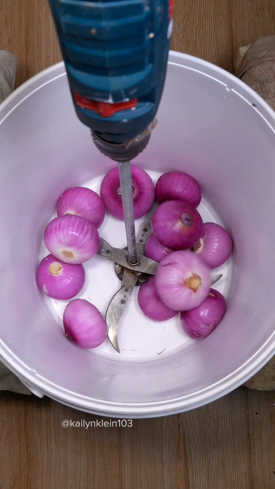 Chopper vs red onions #satisfying #tool #food