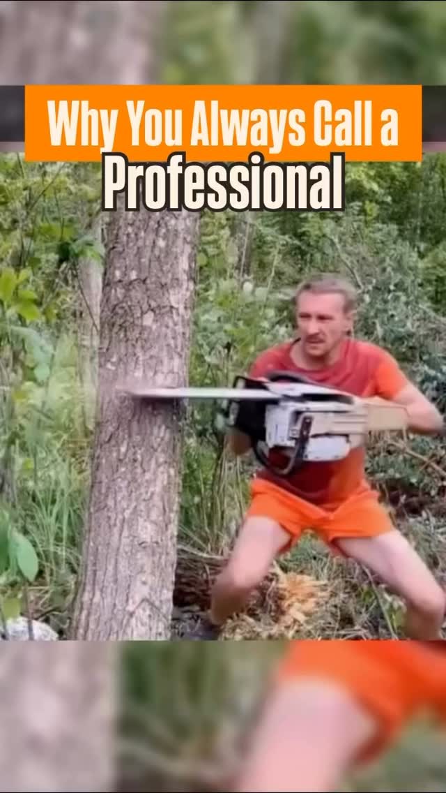 Us - We’re the Professionals!😮‍💨🌳 Okay, I didn’t actually say what kind of Professional! This is act…