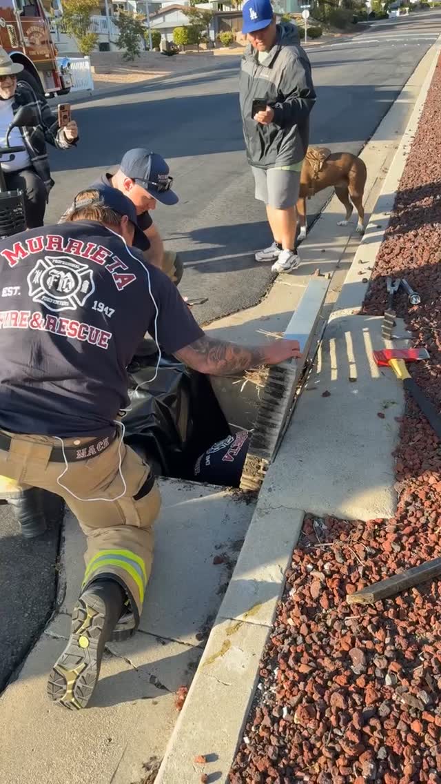 Murrieta fire department and the man who called them at their finest! Always see and love the videos…