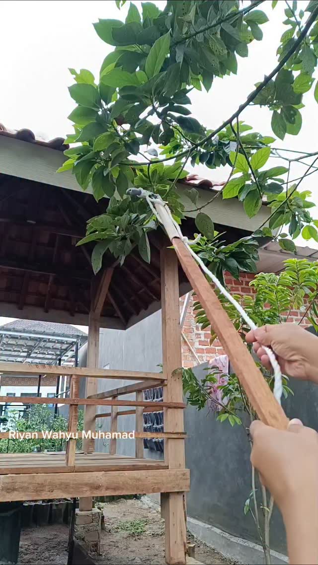 Alat potong ranting atau ambil buah yg tinggi tanpa perlu tangga #idekreatif #berkebun #menanam #fyp…