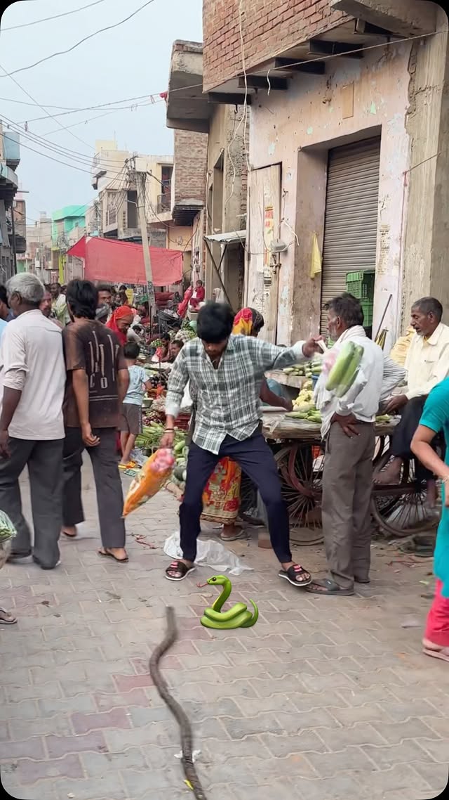 Snake prank 🤣 #thepirshu #funny #comedy #prank #instagram
