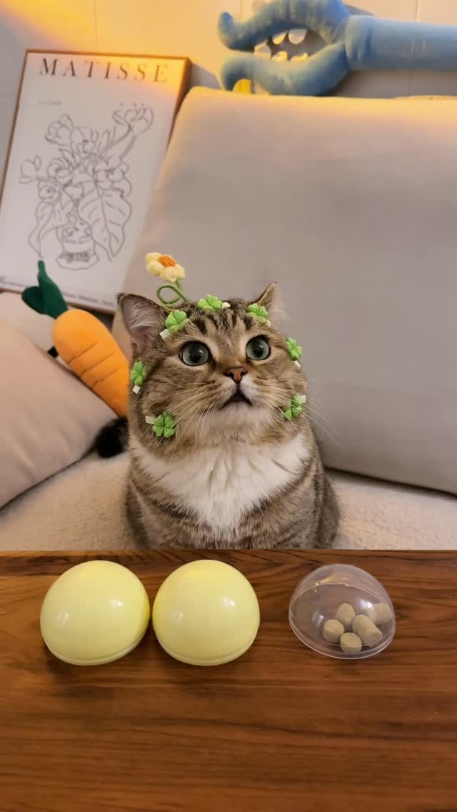这游戏算是被咪玩明白了 #cats #catmeme #pet #petlife #cutecat