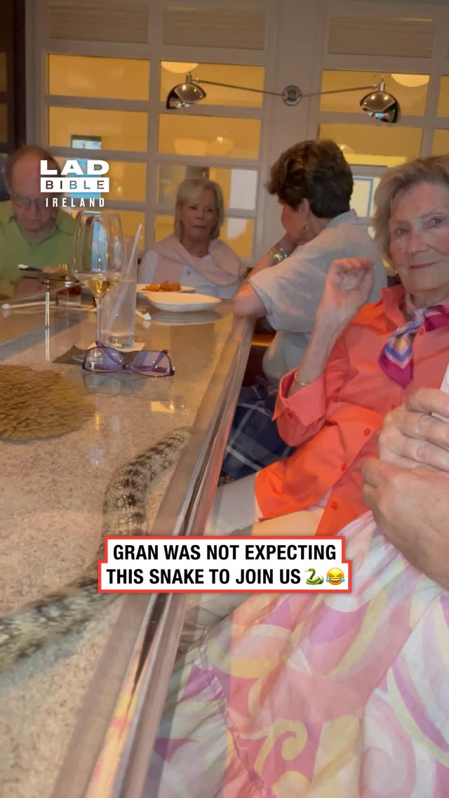 Nearly scared the poor woman to death 😂⁠ ⁠ 🎥 AFV⁠ ⁠ #Ireland #irish #trending #irishhumour #irishgra…