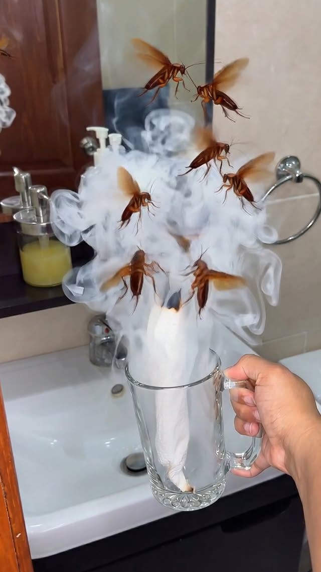El secreto prohibido de los fumigadores.