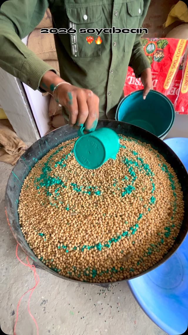 #soyabean #soyabin #farmlife #farming #reels @lokesh_lodha_00