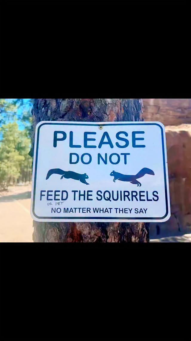 We love animals, but one thing we've learned while traveling is to always respect the warning signs.…