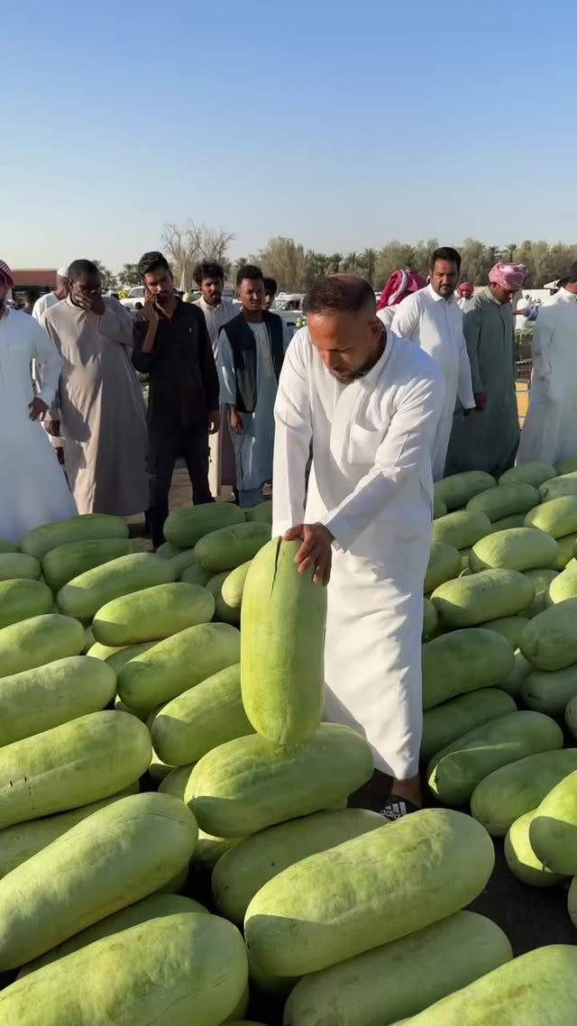 🍉🍉🍉🔪