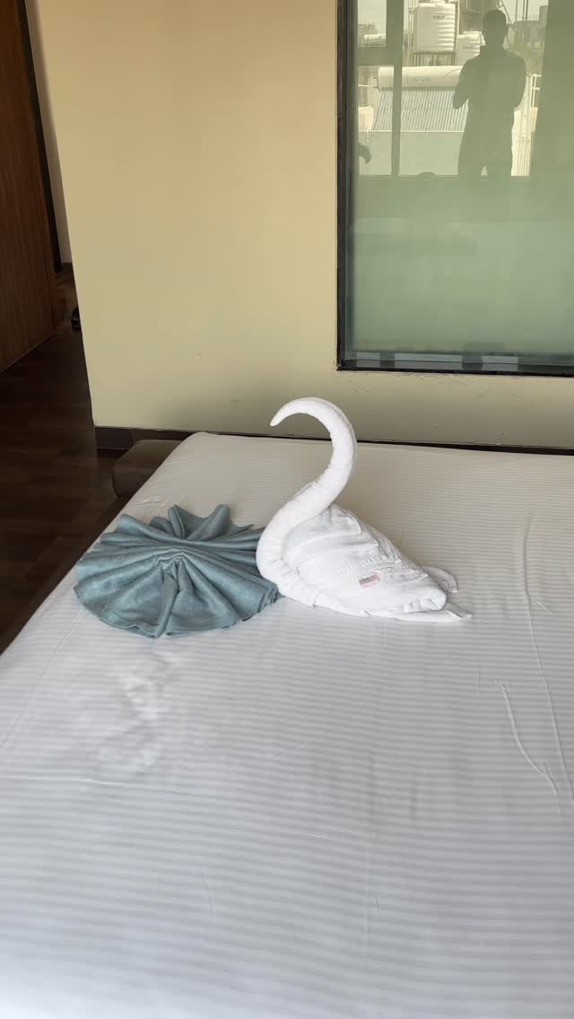 #viralsong #reelviral #reelstrending #instgram #viralreeĺs simple swan bed decoration 🦢