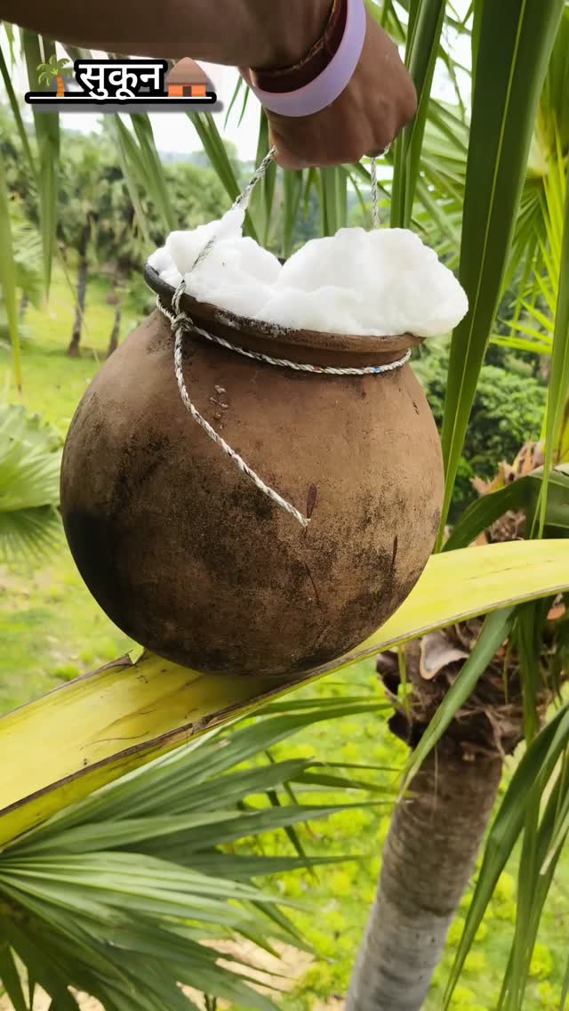 बिहार का मशहूर नीरा ताड़ी वाला | #tadi #instagram #shorts #newpost #nitesh bhai