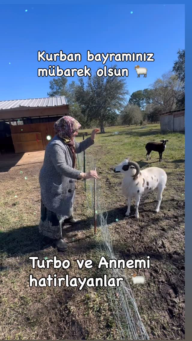 Annem “Telin o tarafindan beni atıyor” 😂 ah Turbo ah Bu arada annem iyi. Zaten dengesini kaybettiği …