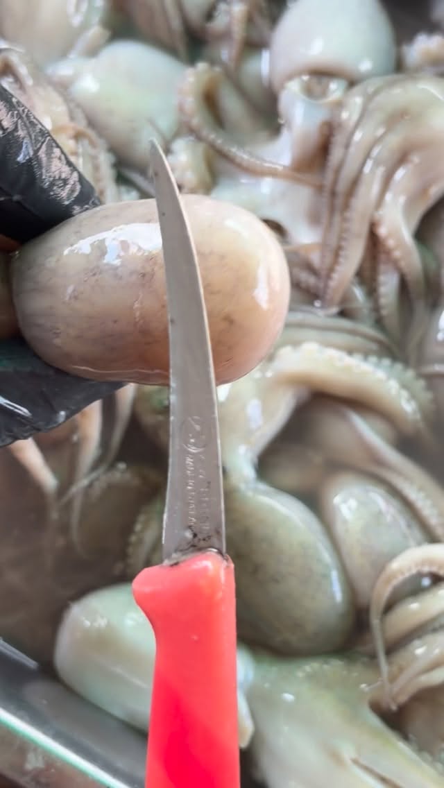 Giant squid eggs are delicious.