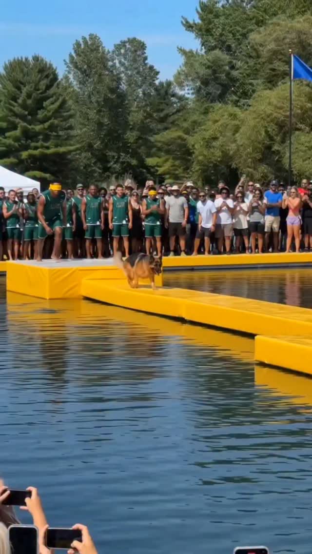 Man vs Dog, who will win?