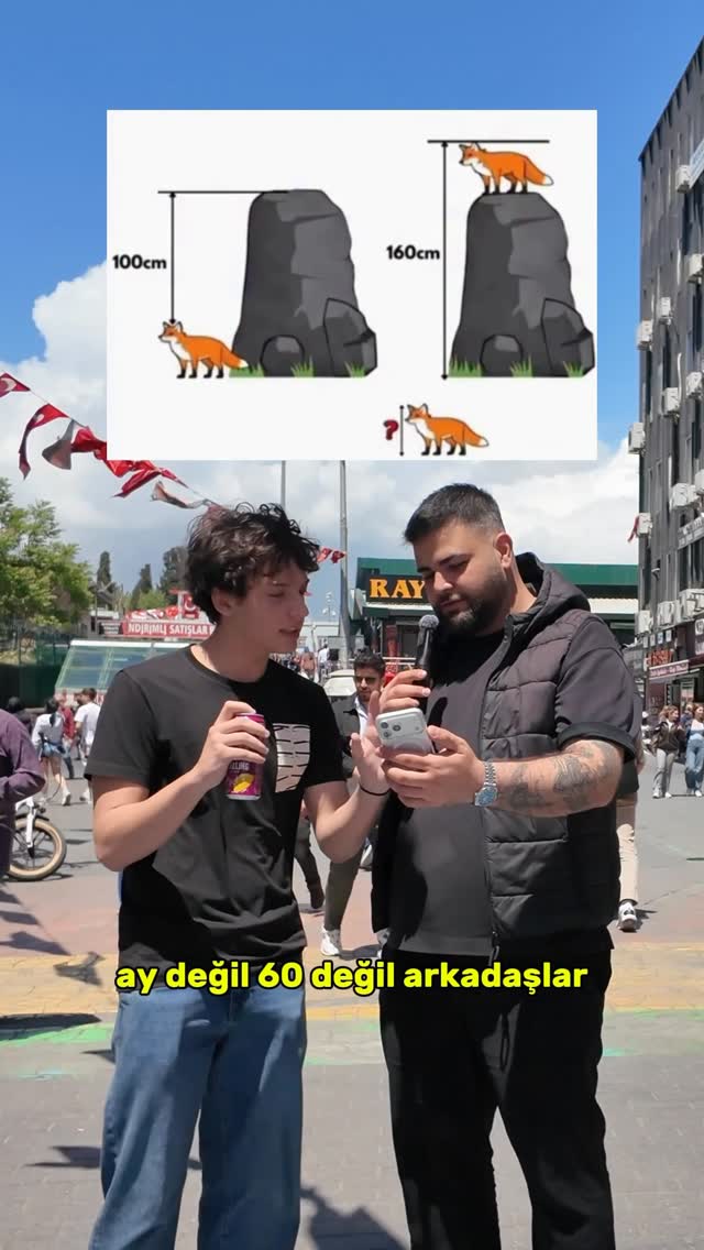 Tilki'nin boyu kaçtır?