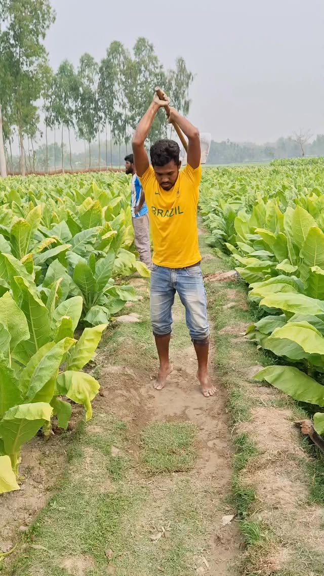 Treasure under the ground. #reelsviralシ #reelsfypシ #funnymoments #viralreelschallenge #comedyreels #…