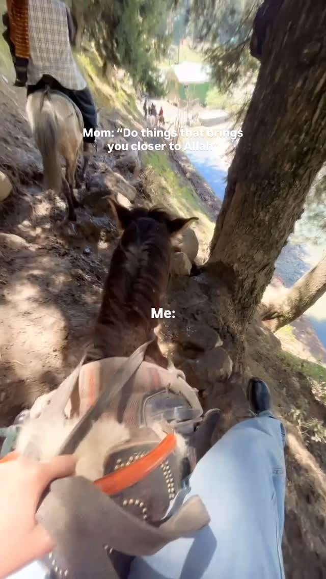 Nature pin