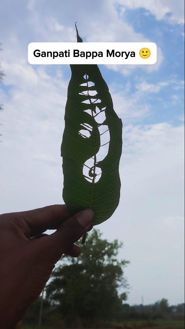 Art pin