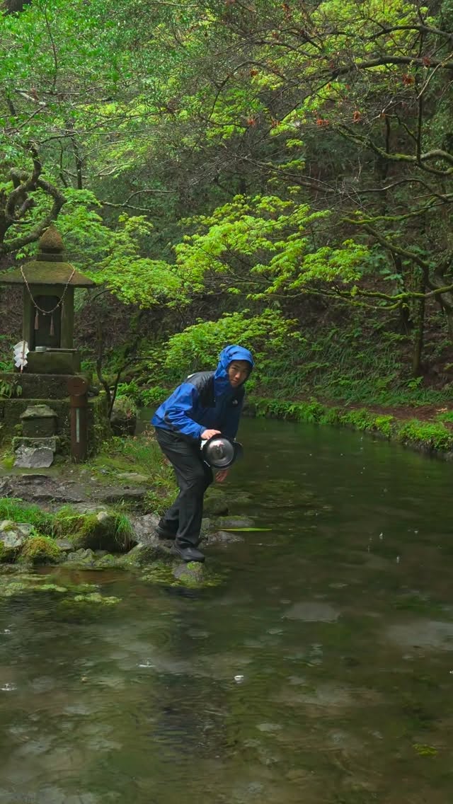 Even in the rain, the underwater world stays calm and peaceful 🌧️🌿 *filmed with special permission *…
